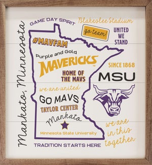 Minnesota State University Mankato Collage